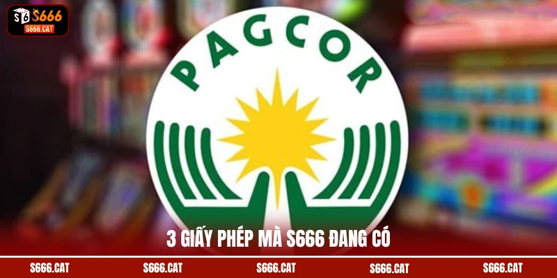 3 giấy phép mà S666 đang có