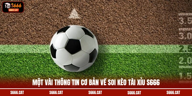 Một vài thông tin cơ bản về soi kèo tài xỉu S666