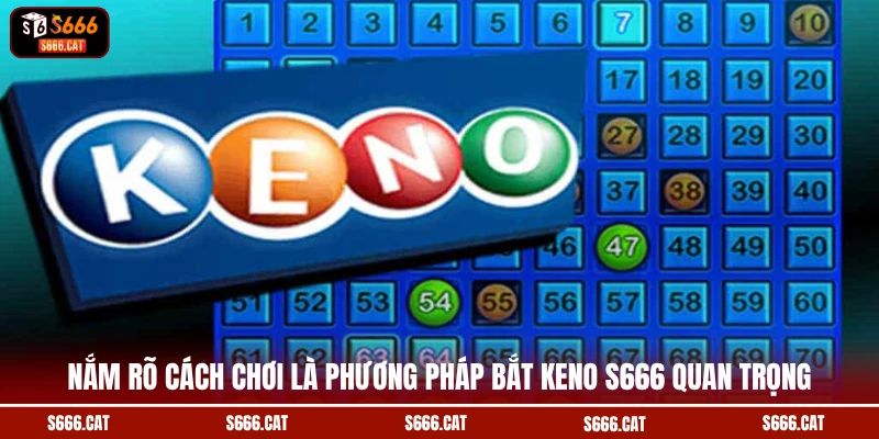 Nắm rõ cách chơi là phương pháp bắt Keno S666 quan trọng