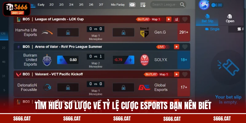 Tìm hiểu sơ lược về tỷ lệ cược Esports bạn nên biết